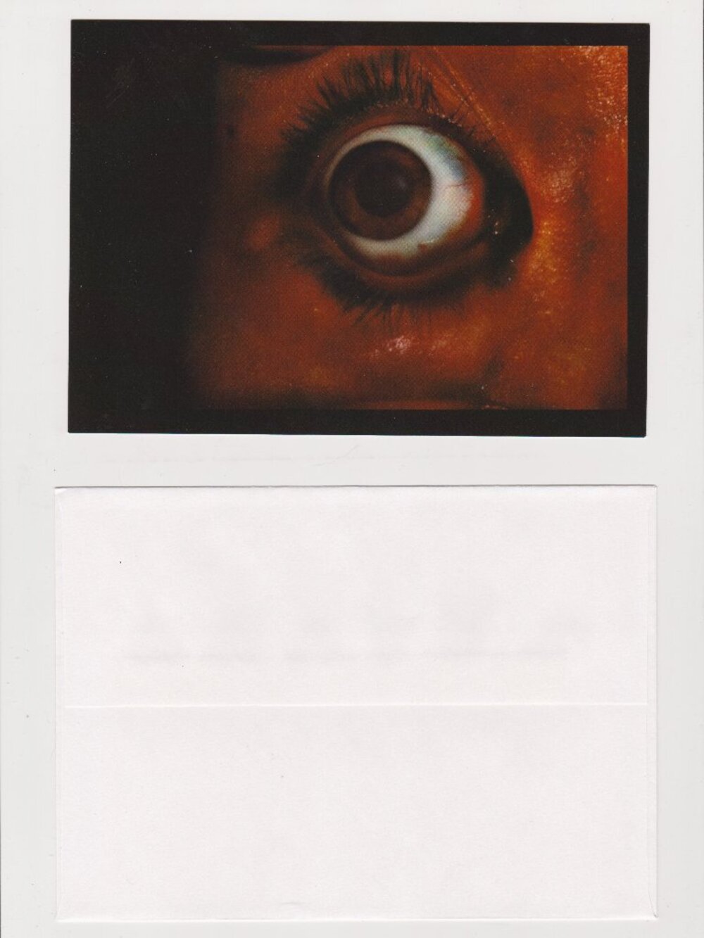 Eye See You POSTCARD (~2000) 5x7